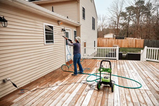 Best Roof Pressure Washing  in Dalton, PA