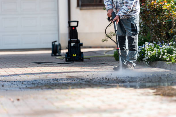 Best Pressure Washing Driveway  in Dalton, PA